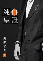 纯白皇冠小说